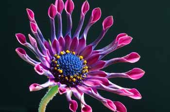 如何轰炸对方手机号