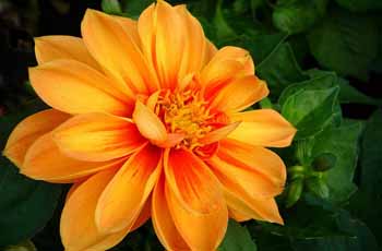 求个放心渠道的短信在线压测平台