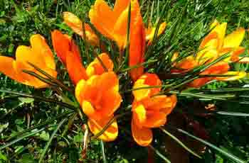 免费电话轰炸软件