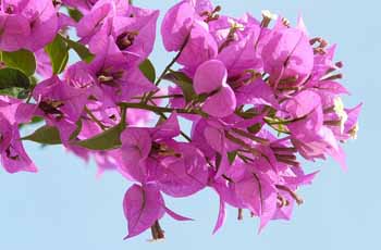 在线电话压力测试