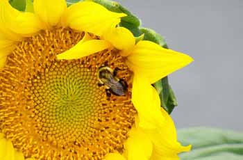 如何轰炸对方手机号