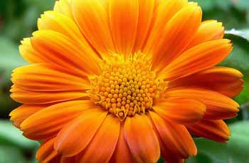 在线电话压力测试